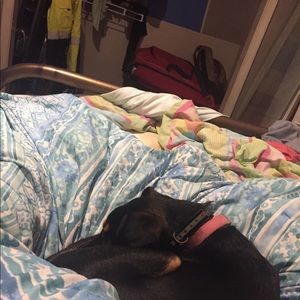 Meet your Posher, Tanner